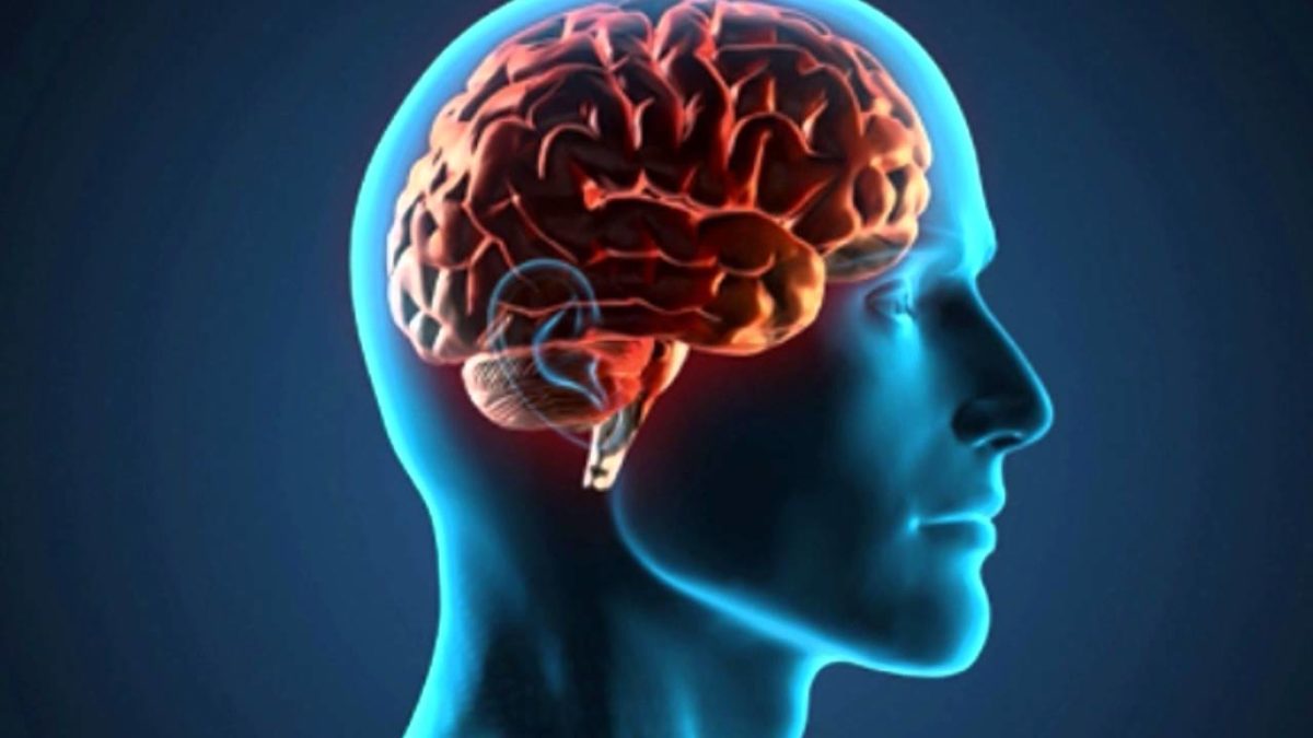 Novas-descobertas-sobre-células-tronco-no-cérebro-de-pacientes-com-epilepsia-1200x675.jpg