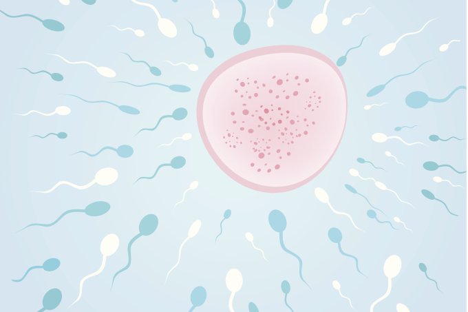 espermatozoide-infertilidade-masculina-1.jpg