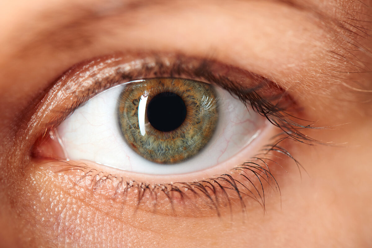 cornea-1200x800.jpg