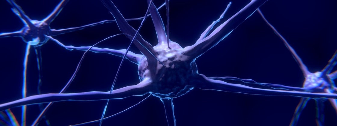 Stem-cell.jpg
