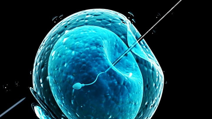 inteligencia_artificial_fertilizacao_in_vitro03.jpg