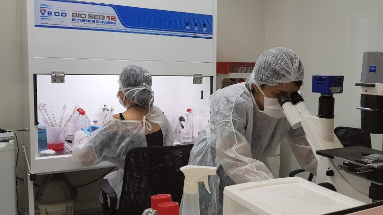 biocurativo_790x444_19072021215409.jpg