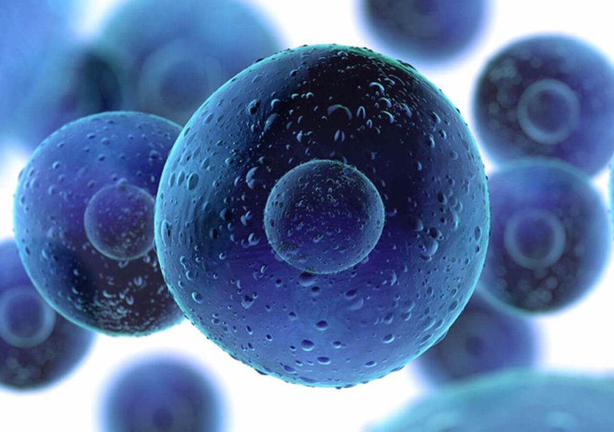 stem-cell-1200x845.jpg